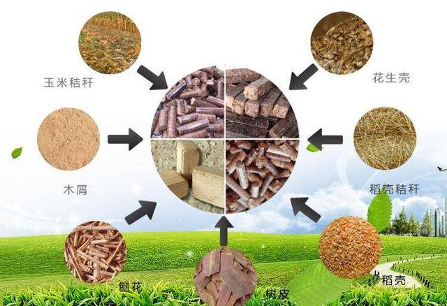 必威 必威betway种出来的生物能源蕴藏巨大潜力(图2)