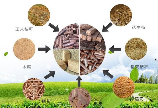 必威 必威betway种出来的生物能源蕴藏巨大潜力(图6)