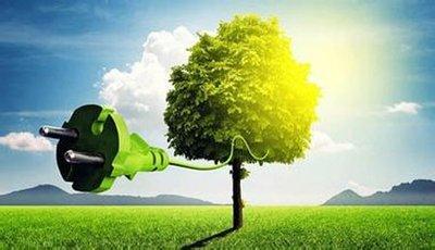 必威 必威betway种出来的生物能源蕴藏巨大潜力(图5)