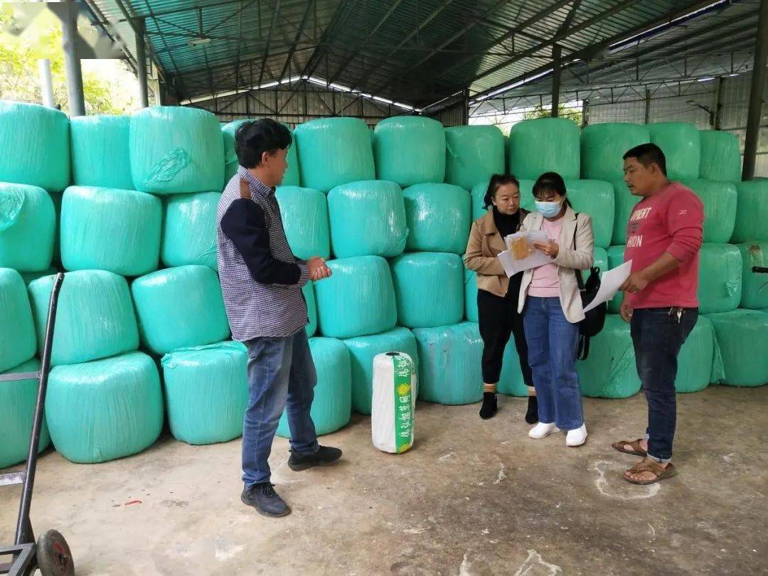 必威 必威betway石屏农作物秸秆综合利用成效显著(图2)