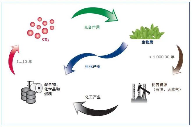 生产PBAT的生物基BDO是怎么生产出来的？(图1)