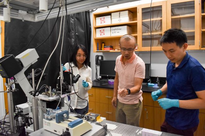 必威 必威betway科学家开发新型多功能成像工具揭示微生物-无机半导体中的能量转换途径(图2)