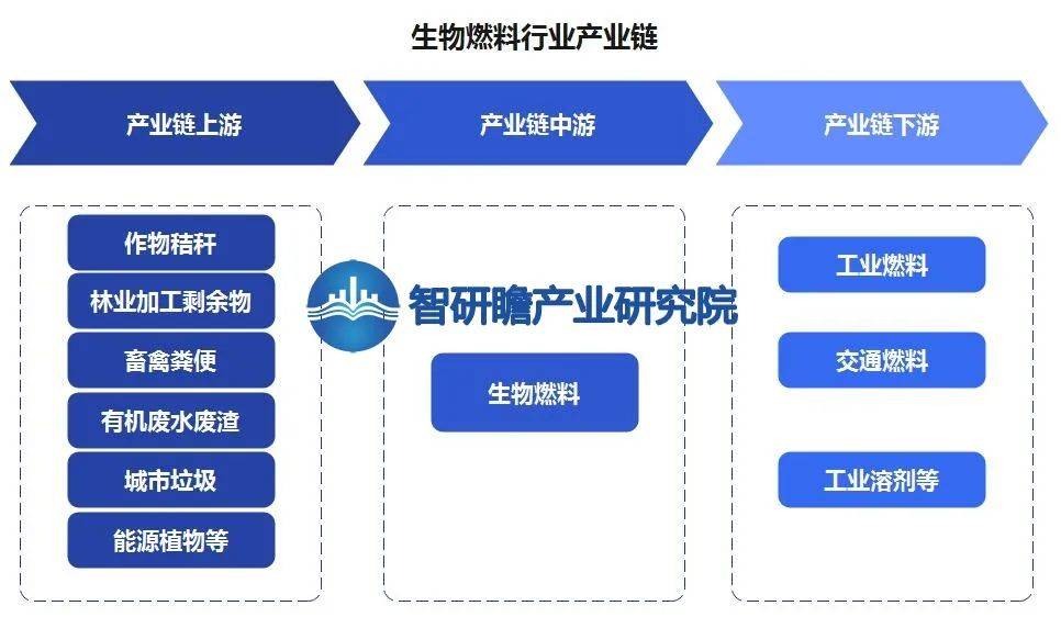 必威 betway必威中国生物燃料行业有望成为未来能源转型和碳减排的重要组成部分(图1)