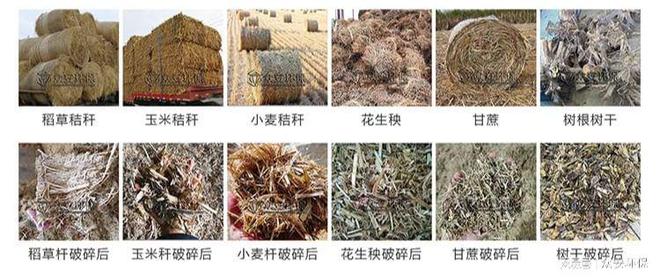 生物质秸秆作为替代燃必威 betway必威料在水泥工厂的应用：绿色未来的新路径(图1)